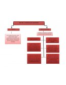 Mapa conceptual nia 500 y 501