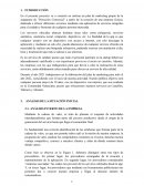 PLAN DE MARKETING. ANÁLISIS DE LA SITUACIÓN INICIAL