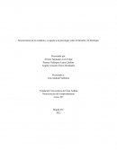 Neurociencias de la conducta y su aporte a la psicología: entre la filosofía y la fisiología
