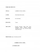 LOMBRICULTURA CASERA