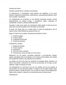 Grandes cambios físicos, sociales y emocionales