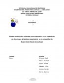 Tesis del plantas medicinales