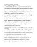 Informe cualitativo 6to grado