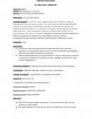 Proyect el circo nivel inicial