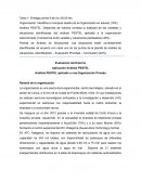 Análisis PESTEL aplicado a una Organización Privada