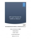 ¿Por qué fracasan las PyMES?