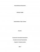 Emprendimiento Empresarial STM DEL CESAR