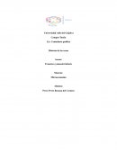 MICROECONOMIA IIHistoria de las cosas