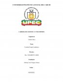 Autores de Educación Física