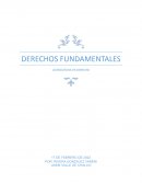 Los fundamentos de los derechos fundamentales