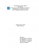 Análisis de sistema contable