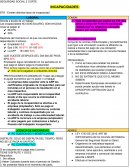 Seguridad Social apuntes. Existen distintos tipos de incapacidad