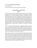 Ensayo - Las Venas Abiertas de América Latina