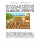 La economía de los mochica