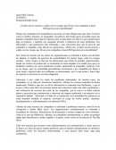 ¿Cuáles son las razones y cuáles son los riesgos que llevan a las compañías a hacer RSE/gerencia de sostenibilidad?