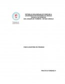 FASE ALEGATORIA DE PRUEBAS PRACTICA FORENSE IV