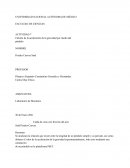 Cálculo de la aceleración de la gravedad por medio del péndulo