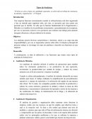 Tipos de Analistas