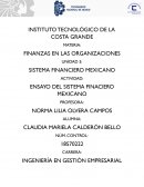 SISTEMA NACIONAL FINANCIERO MEXICANO