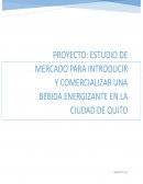 ESTUDIO DE MERCADO PARA INTRODUCIR Y COMERCIALIZAR UNA BEBIDA ENERGIZANTE EN LA CIUDAD DE QUITO