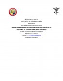 Norma Internacional de Auditoria 300