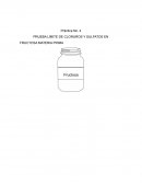 PRUEBA LÍMITE DE CLORUROS Y SULFATOS EN FRUCTOSA MATERIA PRIMA