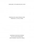 CONDICIONES Y ACTOS INSEGUROS EN EL HOGAR