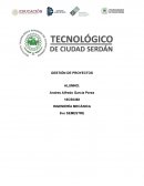 GESTIÓN DE PROYECTOS Tabla FODA