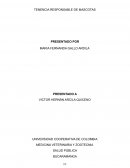 Tenencia Responsable de Mascotas