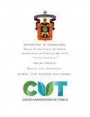 Lectura museográfica de la exhibición “El cuarto Rosa”.