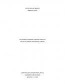 ESTRATEGIA DE MEDIOS SMIRNOFF SOUL