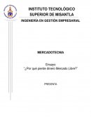 ¿Por qué pierde dinero mercado libre? Caso mercado libre