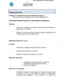 Identificación de oportunidades de negocios