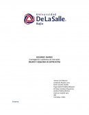 ENSAYO Y ESQUEMA DE ENTREVISTAS