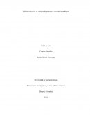 Calidad educativa en colegios de primaria y secundaria en Bogotá
