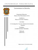 Caso Fernández Ortega y otros VS México