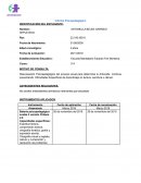 Informe Psicopedagógico