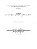 IMPORTANCIA DEL PODER REDUCTOR EN EL METABOLISMO MICROBIANO