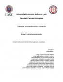 Ensayo sobre emprendimiento y liderazgo