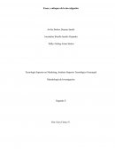 Fases y enfoques de la investigación