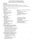 Psicologia para el Trabajo social