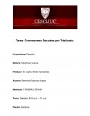 Cromosomas Sexuales por Triplicado