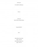 Idea de emprendimiento seeds for skin