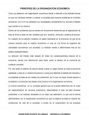 PRINCIPIOS DE LA ORGANIZACION ECONOMICA