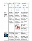 Tabla de Líquidos Corporales