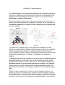 Encefalinas y Peptidomimeticos