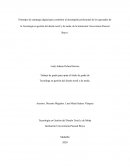 Prototipo de estrategia digital