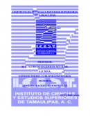 Administracion de hospitales. Ideas que guian al mundo de la empresa