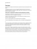 Práctica 3 Derecho constitucional