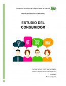 Sistemas de Investigación de Mercados